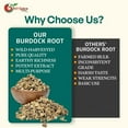thumbnail image 7 of NY SPICE SHOP Burdock Root - 3 Pound - Cut & Shifted Burdock Root - Arctium Lappa Root - Gobo Root, 7 of 7