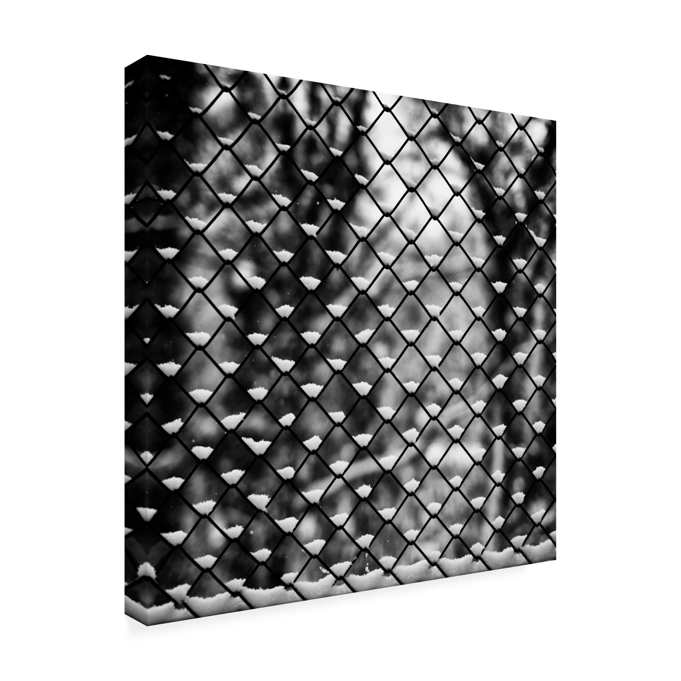 Canvas Wall Art - Michael C Neale '1Xsnow' Wall Art for Living Room, Bedroom, or Office Décor by Trademark Fine Art - 35 x 35 Inches