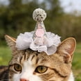 thumbnail image 5 of Glitter Pet Birthday Hat Hairpin with Tulle Mesh Design Cute Party Headwear Pet Photo Prop Festive Accessory for Cats Dogs Birthday Celebrations Holiday Parties, 5 of 5