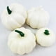 thumbnail image 4 of Clearance! Halloween Home Decor! Simulation Foam Fake Model Halloween Decoration Photo Window Props Display Buy 2 Get 3, 4 of 4