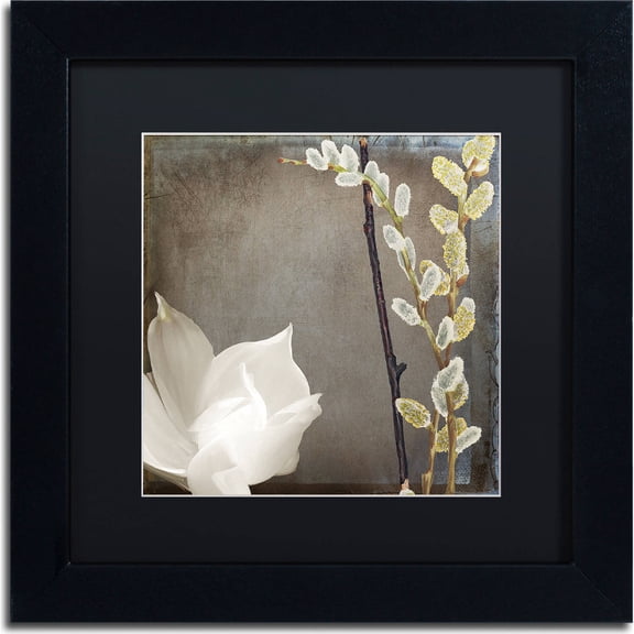 Trademark Fine Art "India II" Canvas Art by Color Bakery, Black Matte, Black Frame