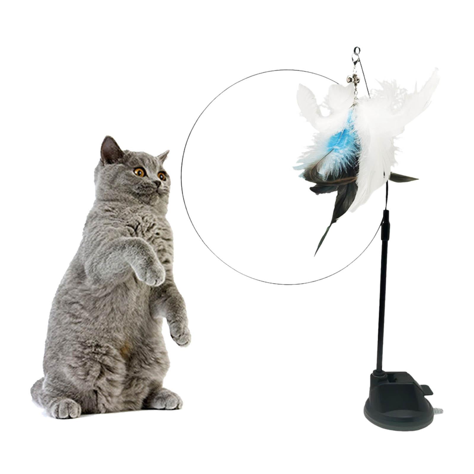 Jouet Interactif Pour Chat,Design Coupe Avec Cannes Détachables,Plumes