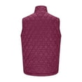 thumbnail image 5 of Women's Stand Collar Sleeveless Vest, Quilted Zip Up Vest, Lightweight Puffer Vest, Warm Winter Vest Top, Casual Outerwear Vest, Pocket Detail Sleeveless Jacket Purple, 5 of 7