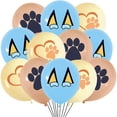 thumbnail image 3 of Ramo de globos Bluey para decoración de fiesta, suministros para fiesta de cumpleaños para niños y niñas, decoraciones para fiesta de bienvenida de bebé familiar de Bingo, 10/20 piezas, 3 of 5