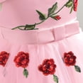 thumbnail image 6 of Splozh Baptism Dress 12 18 24 Months 2T3T4T5T6T Girls Skirt Fashion Flower Dress Off Shoulder Princess Skirt Children Rose Embroidery Mesh Skirt,Pink,3-4 Years, 6 of 6