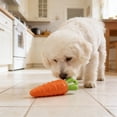 thumbnail image 5 of Penmahua Pet Easter Dog Toy Carrot Shape Squeaky Toy For Teeth Training Boredom Relief Small Dogs Plastic 1 Piece, 5 of 7