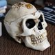 thumbnail image 3 of Halloween Skull Head,Skull Ashtray Plant Pot Resin Human Skull Decor Gift Ornament for Party Halloween Bar Home Scary Decoration, 3 of 5