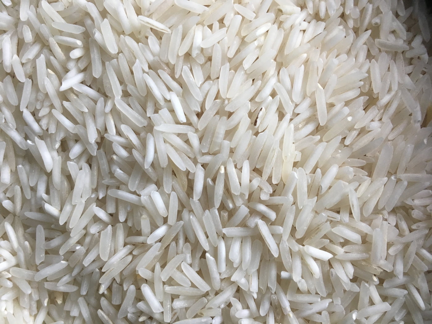 Tilda - Grand Finest Extra Long Grain Basmati Rice - 10 lbs
