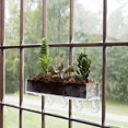 thumbnail image 3 of Soporte para plantas en maceta 1p, 3 of 5