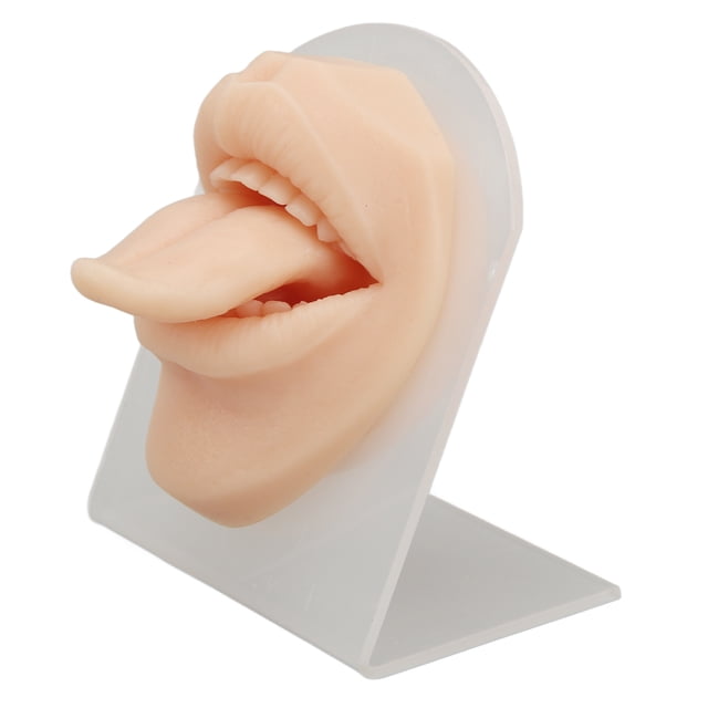 Modèle de Langue en Silicone, Modèle de Langue de Perçage Simulé Flexible Réaliste Doux pour Salon de Perçage