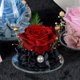 thumbnail image 4 of Ángel eterna flor rosa cubierta de cristal regalo de vacaciones decoración de rosas para amigos y familiares regalos de cumpleaños, 4 of 5