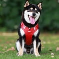 thumbnail image 5 of No Pull Dog Harness Reflective Adjustable Pet Vest Breathable Mesh Padding for Large Medium Small Dogs Walking Training Leash Set, 5 of 6