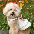 thumbnail image 2 of Adorable Pet Clothes for Cats & Small Dogs - Charming Spring & Autumn Wear, 2 of 3