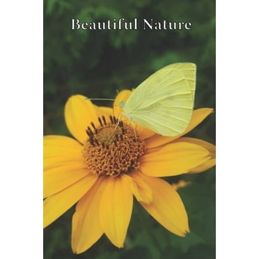 Beautiful Nature : For School and Notes, Gifts, 6" x 9" 120 Pages Checkered (Paperback)