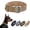Coyote Brown, variant on Minzimin 1.5" Width Dog Collar Adjustable Metal D Ring & Buckle Working Dog Collar for Medium Large Dogs 1Pack