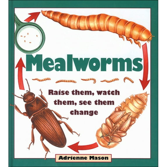 Pre-Owned Mealworms: Raise them, watch them, see them change (Paperback) 1550745069 9781550745061