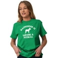 thumbnail image 4 of Happiness Loving A Pitbull Rescue Dog Plus Size Crewneck Graphic Tee Shirt Brisco Brands 5X, 4 of 5