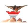 thumbnail image 2 of Alimentador de anillos para colibríes (rojo) - Alimente manualmente a los colibríes en su jardín. Acércate a la naturaleza. JAMW Sencillez, 2 of 5