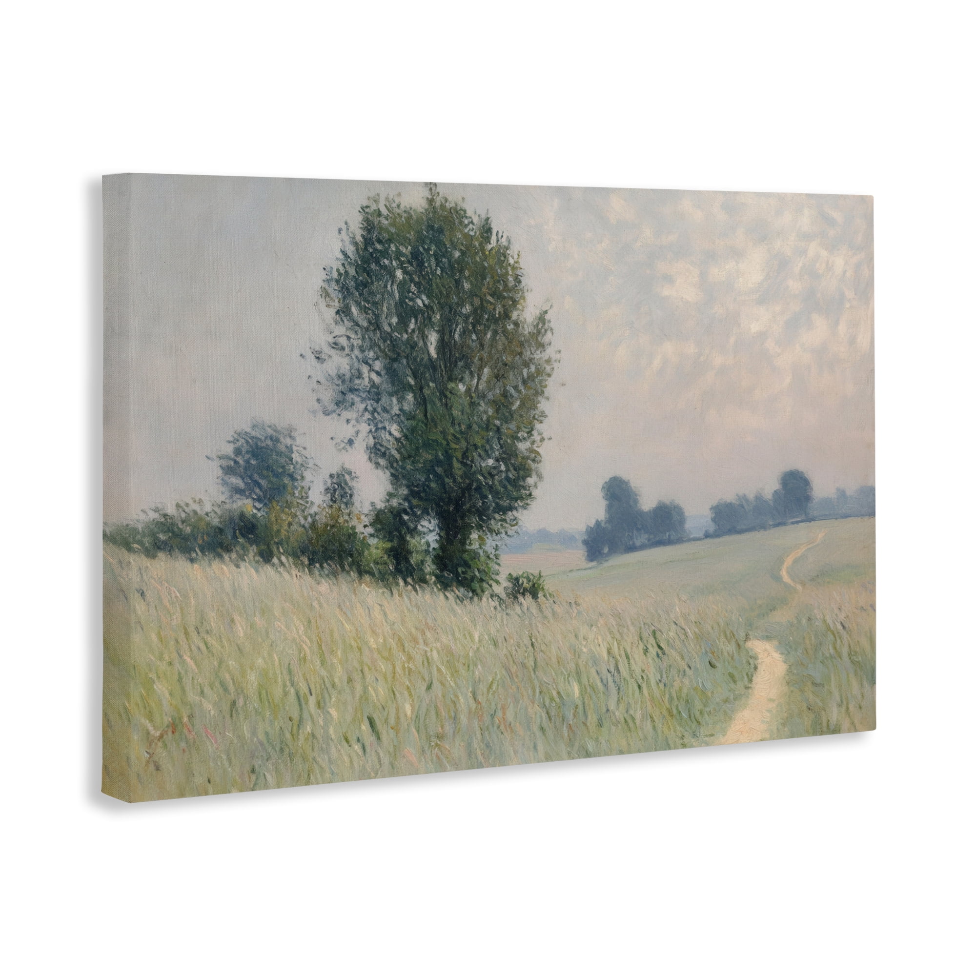 Stupell Industries Tall Grass Path Through Meadow Canvas Wall Art, design by Petal Prints Design