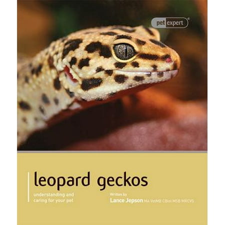 - Leopard Gecko