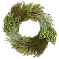 thumbnail image 2 of Northlight Small Cedar Succulent and Day Grass Artificial Spring Wreath Green -14-Inch, 2 of 8