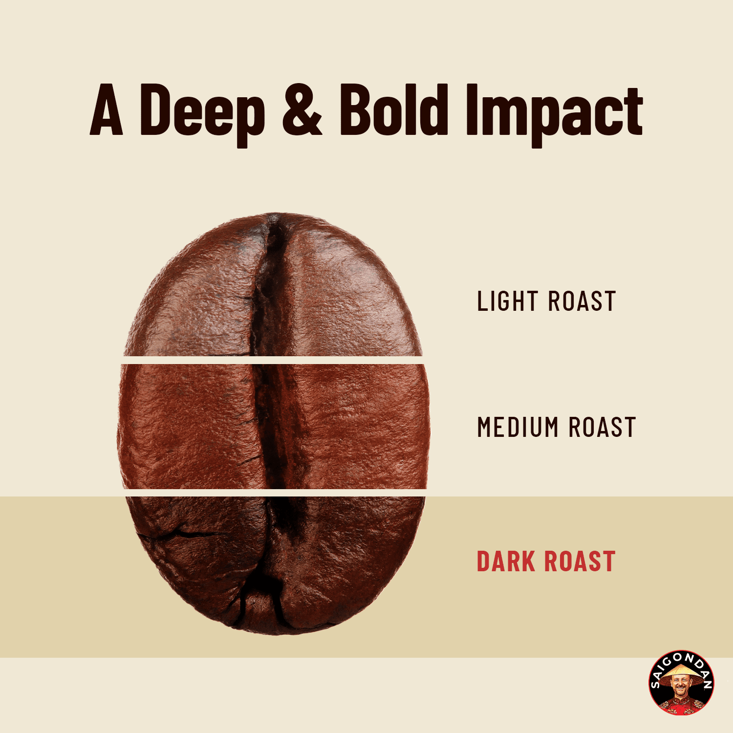 SAIGONDAN Passion Vietnamese Single Origin Robusta Coffee — French Roast Whole Bean, Bold & Rich Flavor, 12 oz