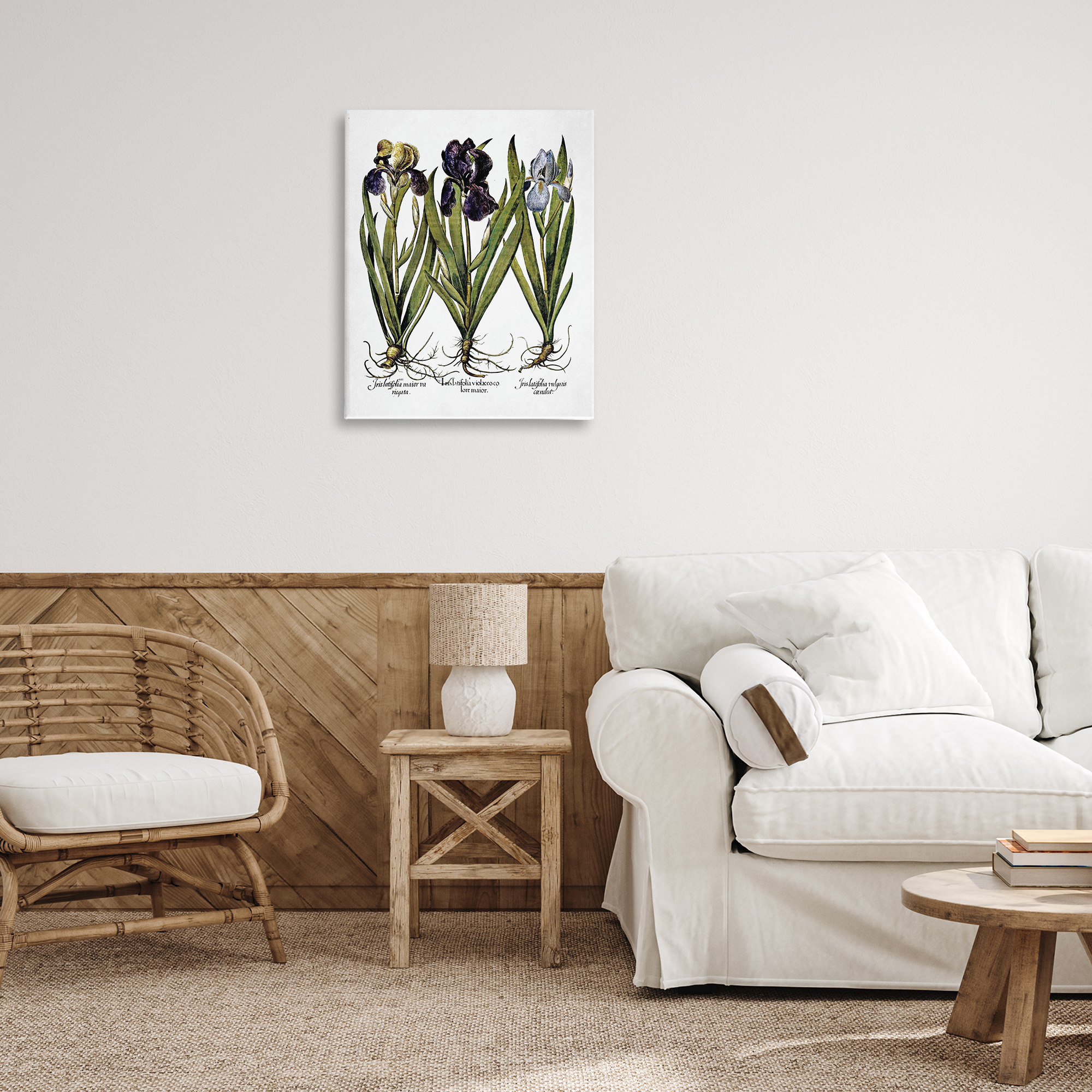 Stupell Industries Vintage Iris Studies Botanical & Floral Painting Gallery Wrapped Canvas Art Print Wall Art, 24 x 30