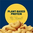 thumbnail image 2 of PLANTERS Salted Cashews, Plant Based Protein, Whole, Kosher, 2 oz Pouch (pack of 15), 2 of 18