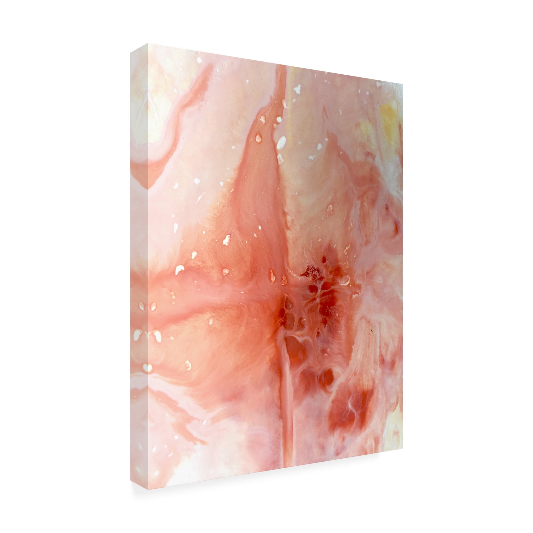 Canvas Wall Art - Maliq 'Desert Rose' Wall Art for Living Room, Bedroom, or Office Décor by Trademark Fine Art - 18 x 24 Inches