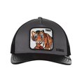 thumbnail image 1 of GORRA K-SWISS TIGRE K-SWISS  TIGREGRI, 1 of 3