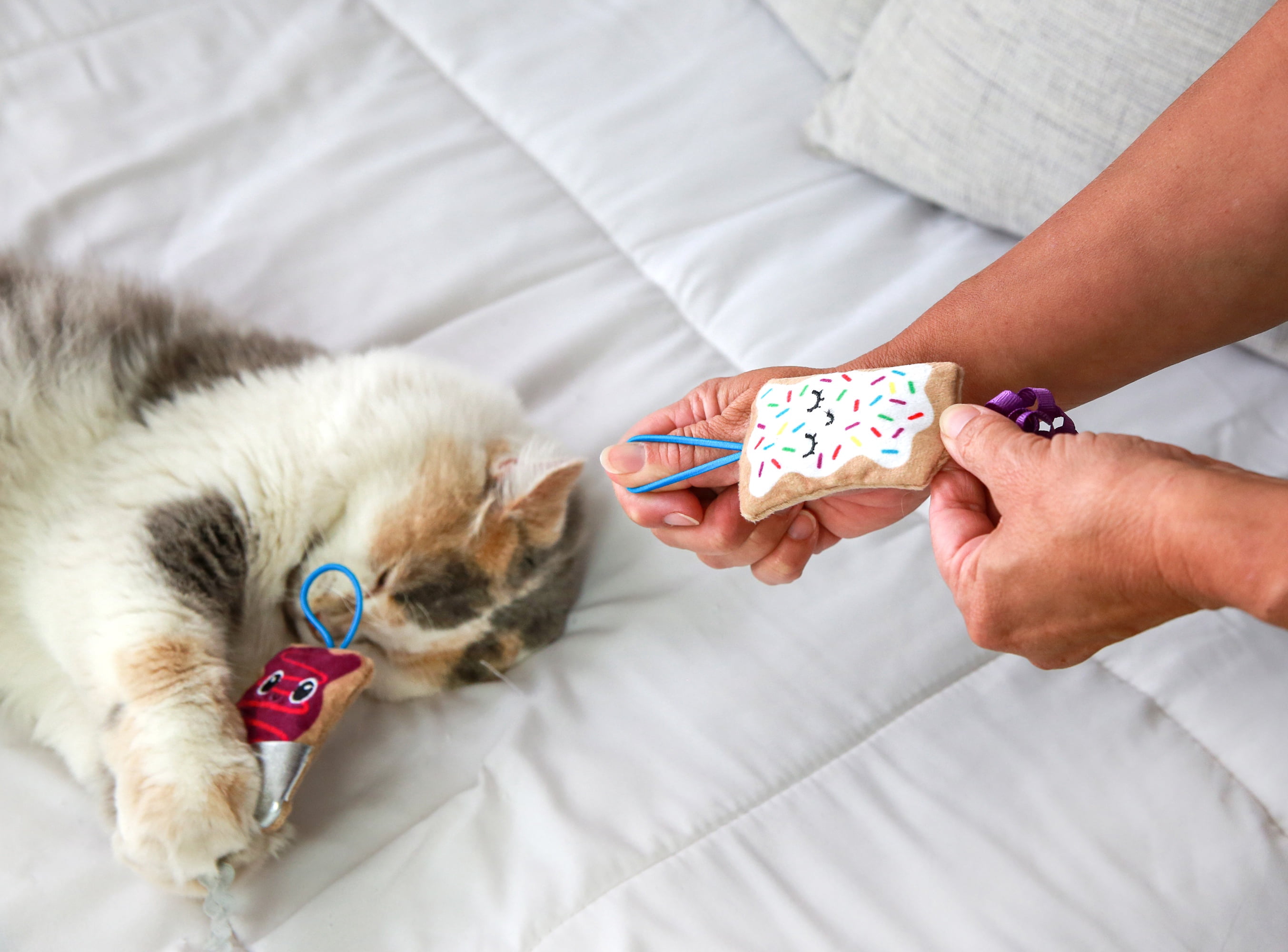 Quirky Kitty Flingin Purr Tarts Catnip Interactive Plush Cat Toy, Multicolor, Pack of 2