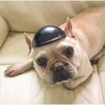 thumbnail image 4 of Casco para mascotas, gorra de seguridad para perros, gorra para casco de bicicleta para gatos, casco universal de plástico ajustable para motocicleta para perros pequeños, gatos (negro, M), 4 of 5