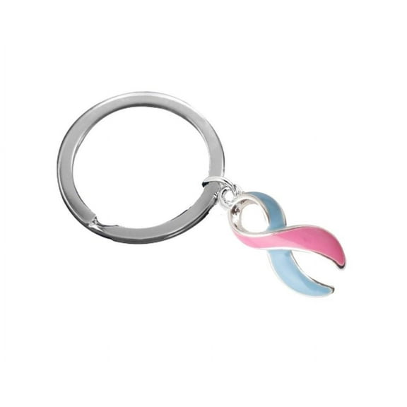 Pink & Blue Ribbon Split Style Key Chains