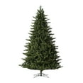 thumbnail image 6 of Vickerman 8.5' x 64" Welch Fraser Fir Artificial Christmas Tree with Warm White Dura-lit LED Lights, 6 of 7