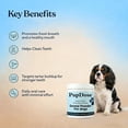 thumbnail image 6 of PupDose Dog Dental Powder, Teeth Cleaning & Tartar Removal Supplement, Fresh Breath Oral Care for Dogs, Gum Health Support, Easy Mix Food Additive for Small Medium Large Dogs (2PC), 6 of 9