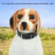 thumbnail image 5 of Anillo De Cuello De Perro Fashionbale, Collar De Mascota Con Pinchos, Para Perro, 5 of 8