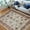 Distressed Pearl, variant on HR-Traditional Rugs/bijar Collection/Fashion Home Oriental|Persian Vintage Area Rugs-Distressed Copper/Multi (7'9" x10')