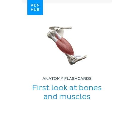 Anatomy flashcards: First look at bones and muscles - (Best Muscle Anatomy App)