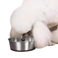 thumbnail image 2 of Pro Select Stainless Steel Dog Bowl with Rubber Base Sizes Vary (1 Pack), 2 of 2