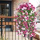 thumbnail image 4 of Gloria de la mañana colgante de pared, rosa artificial simulada, flor artificial, bloqueo de conductos, decoración de techo de sala de estar, envoltura de plástico, plantas, flores falsas, enredaderas, 4 of 6