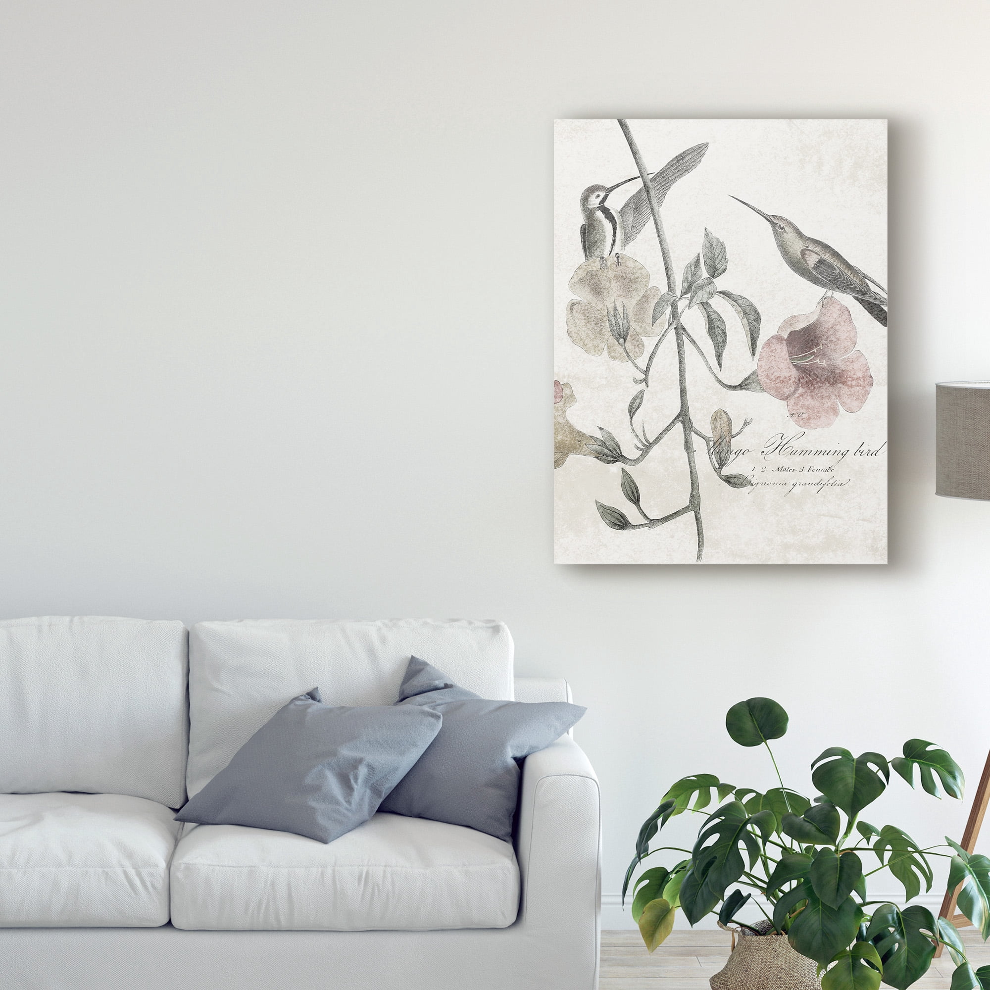 Trademark Fine Art 'Soft Hummingbirds II' Canvas Art by Studio W