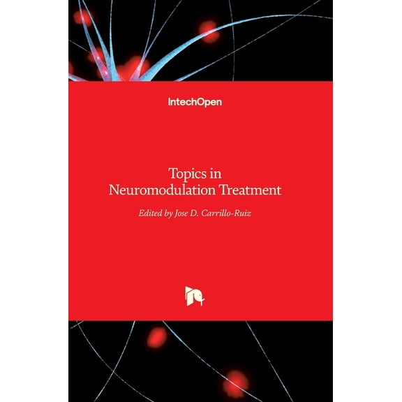 Topics in Neuromodulation Treatment (Hardcover)