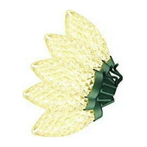 Home Accents Holiday Indoor/Outdoor 14.5 ft Plug-in Warm White 25 LED Light String