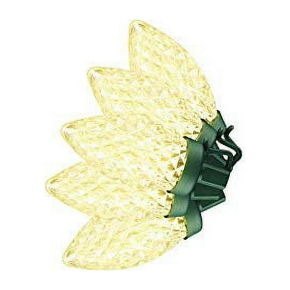 Home Accents Holiday Indoor/Outdoor 14.5 ft Plug-in Warm White 25 LED Light String