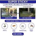 thumbnail image 2 of 50 Window Fly Traps Sticky Non-Toxic Clear Fly Paper Indoor for Home. No Mess Flies Window Sticky Traps Bug Flies Strips Indoors. Fruit and Housefly Trap Indoor Flypaper Tape Gnat Catcher Killer, 2 of 8
