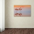 thumbnail image 3 of Trademark Fine Art 'Flamingo Parade' Canvas Art by Anna Cseresnjes, 3 of 3