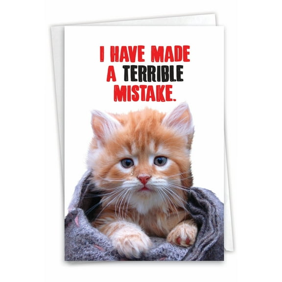 NobleWorks Funny Sorry Greeting Card with 5 x 7 Inch Envelope (1 Card) Cat Terrible Mistake C8149SRG