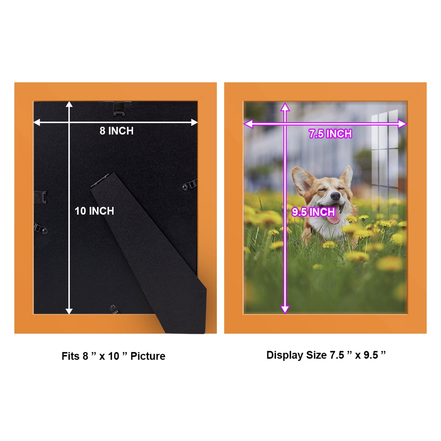 Modern 8 in. x 10 in. Orange Picture Frame (Set of 2)