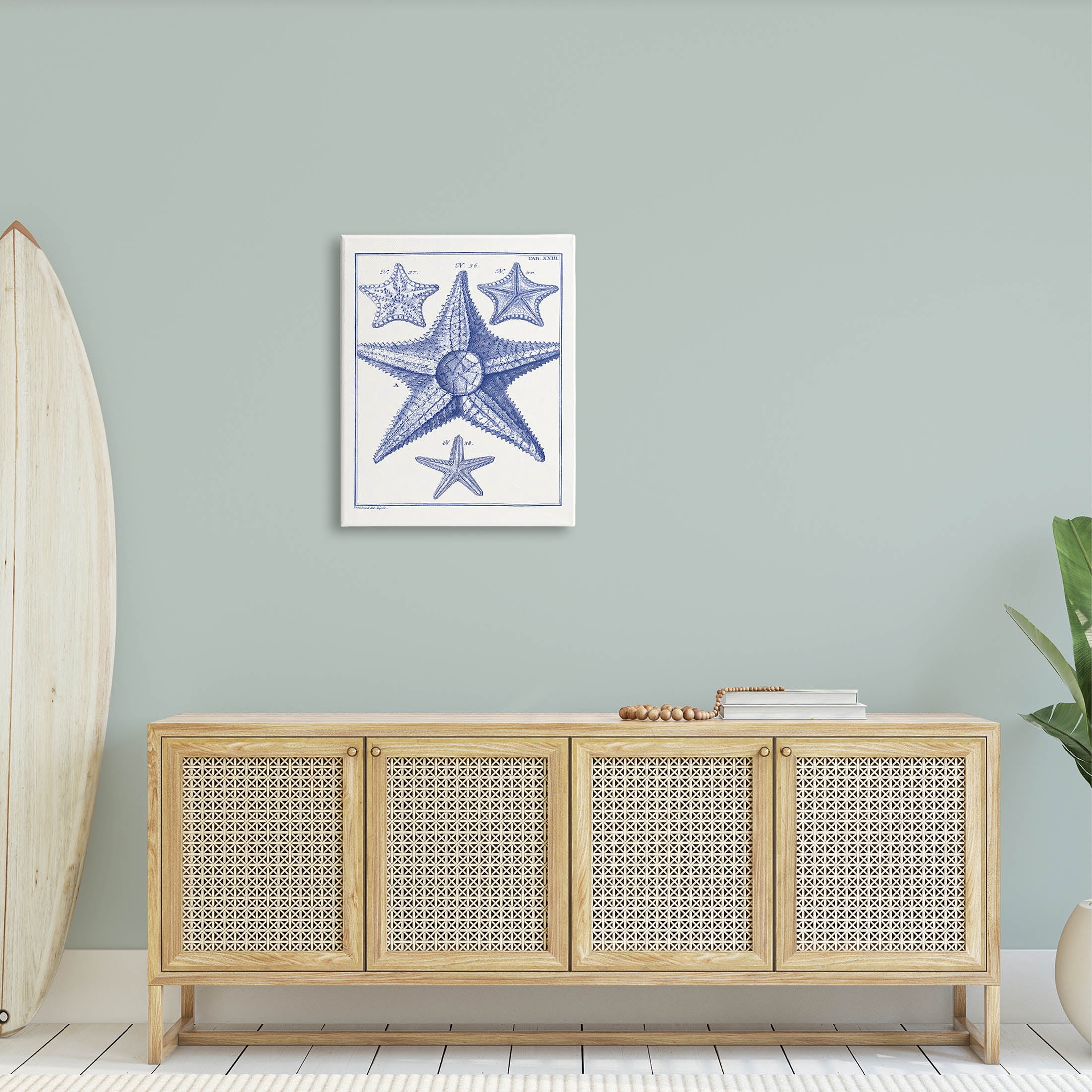 Stupell Industries Detailed Nautical Starfish Study Graphic Art Gallery Wrapped Canvas Print Wall Art, Design by Vision Studio