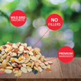 Lyric Fruit and Nut Wild Bird Seed High Energy Wild Bird Food Mix Attracts Woodpeckers